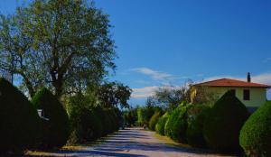 uma estrada com arbustos e uma casa e um edifício em Agriturismo Il Cuscino Nel Pagliaio em Campiglia Marittima