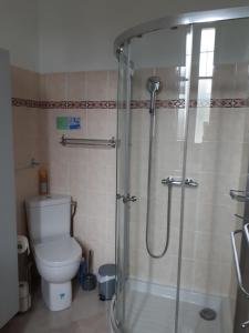 W łazience znajduje się toaleta i przeszklony prysznic. w obiekcie Belle chambre dans maison atypique w mieście Joyeuse