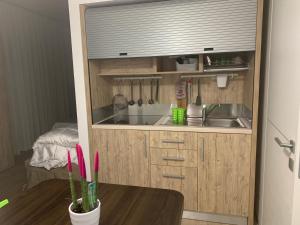 Kuchyň nebo kuchyňský kout v ubytování B&B Vanessa
