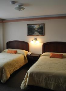 Postel nebo postele na pokoji v ubytování Hotel Makroz