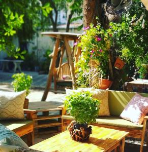 una mesa de madera con macetas en un patio en The Iskemleci Guest House, en Lefkosa Turk