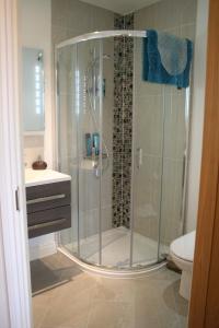 uma casa de banho com um chuveiro, um WC e um lavatório. em Labbadax House em Wisbech