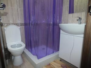 a bathroom with a toilet and a sink and a purple shower curtain at Hotel Persona in Yuzhnoural'sk