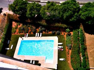 A view of the pool at Apartamento Jeni Residencia Flamingo or nearby