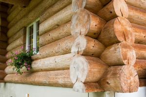 Fotografie z fotogalerie ubytování Chalet le Dorf v destinaci Nötsch