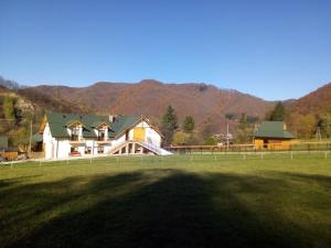 a large house in a field with mountains in the background at Agroturystyka Królowo in Tylmanowa