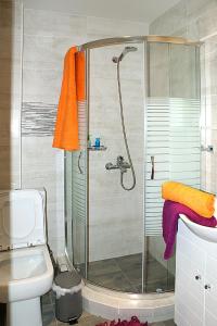 a bathroom with a shower and a toilet at Sunny studio with Parthenon view balcony in Athens