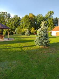 a christmas tree in a yard with a picnic table at Penzion Kosky in Hamr