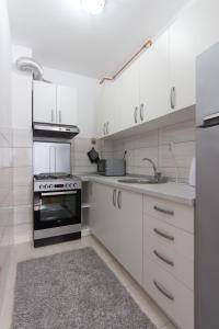 Kuchyň nebo kuchyňský kout v ubytování Apartman Carica