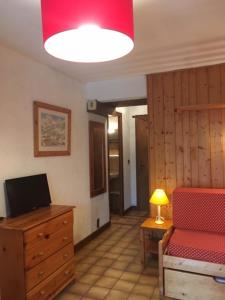 TV a/nebo společenská místnost v ubytování Chalet La Licorne au pied des pistes