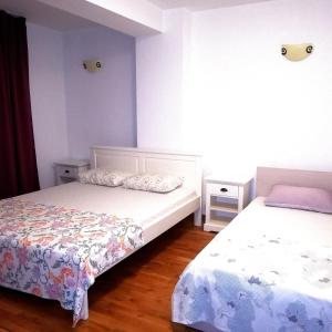 two beds in a room with blue walls and wooden floors at Penthouse Renașterii Amazonia in Timişoara