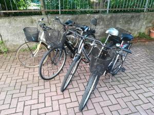 Jazda na bicykli v okolí ubytovania SWEET IRENE Deluxe