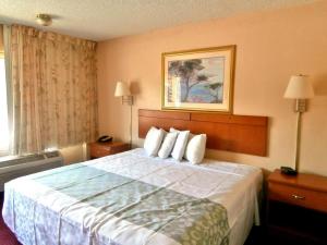 Habitación de hotel con cama grande con almohadas en Americas Best Value Inn Alachua, en Alachua