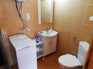 Baño pequeño con aseo y lavamanos en Apartment in Balatonszemes 38456, en Balatonszemes
