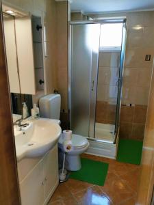 un bagno con doccia, WC e lavandino di Apartments Ivan a Vir (Puntadura) Altre 28 foto