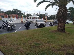 un groupe de motos garées sur un parking avec un palmier dans l'établissement Super Inn Daytona Beach, à Daytona Beach