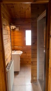 een badkamer met een toilet, een wastafel en een spiegel bij Chaletparc Krabbenkreek Zeeland - Chalet 130 in Sint Annaland