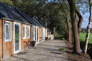 a row of cottages with a pathway next to a tree at Studio de Kaap in Roden