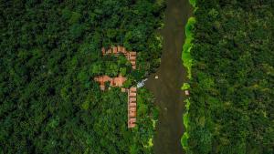 an aerial view of a forest with a house in the middle at Amazon Muyuna Lodge - All Inclusive in Paraíso