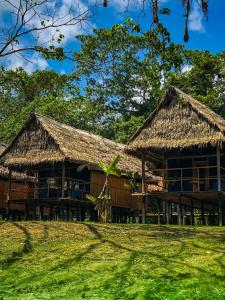 budynek z dachem krytym strzechą na zielonym polu w obiekcie Amazon Muyuna Lodge - All Inclusive w mieście Paraíso