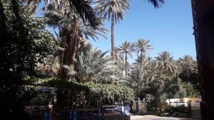 Zahrada ubytování RIAD Camping ATLAS