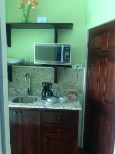 a kitchen with a sink and a microwave at Raine’s studio and more in Kingston