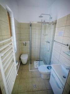 a bathroom with a shower and a toilet and a sink at Casa Mera in Topliţa