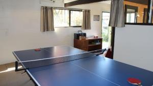 a blue ping pong table in a room with a table at Retro Inn 1 - Lake Tekapo in Lake Tekapo