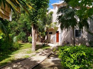a house with a palm tree in front of it at MINI PINI BIRD WATCHING AND CENOTE Loft in Cozumel