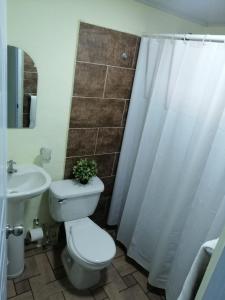 a bathroom with a toilet and a sink and a shower at Hotel Anedi in Concepción de La Vega