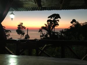 Příroda nedaleko bed and breakfast + 17 fotografií