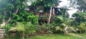 a house with plants on the side of it at Cabañas Maikü Selva in Puerto Nariño