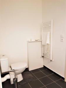 La salle de bains blanche est pourvue d'une douche et de toilettes. dans l'établissement APPARTEMENT T2 AGROPARC AVIGNON, à Avignon