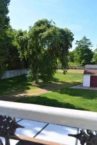 a tree in the middle of a green yard at La KEFOISE in Fouquières-lès-Lens