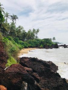 plaża z palmami i oceanem w obiekcie Manshore bay w mieście Kannur
