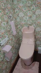 a bathroom with a white toilet in a room at Guesthouse Gifu SUAI in Gifu