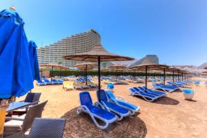 a bunch of chairs and umbrellas on a beach at Porto Sokhna Pyramids Apartments By Amer-Group in Ain Sokhna