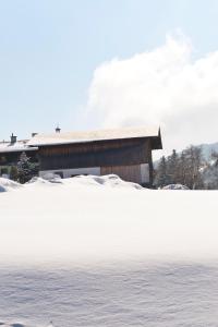 Hotel Alpenkrone v zimě