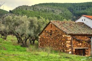 um antigo edifício de pedra num campo com árvores em La Casita de Leire em Tamajón