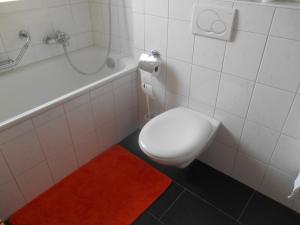 a bathroom with a white toilet and a red rug at Vazerol in Lenzerheide