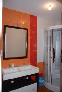 a bathroom with a sink and a shower and a mirror at Chambres d'Hôtes Larrey in Audignon +42 photos