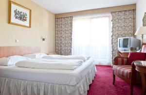 TV a/nebo společenská místnost v ubytování Hotel Alpenkrone