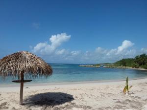 - un parasol sur une plage donnant sur l'océan dans l'établissement Studio Vue mer Haut de villa anse des rochers, à Saint-François 16 autres photos