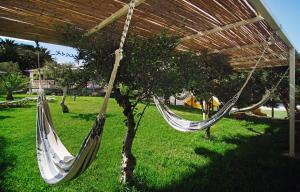 A garden outside Paralos Irini Mare