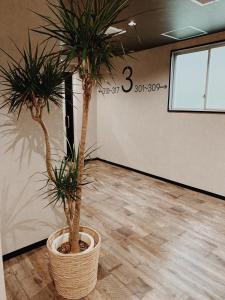 a room with two palm trees in a pot at Hotel Capsule Inn Shizuoka in Shizuoka