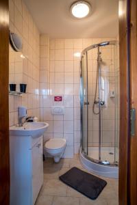 La salle de bains est pourvue d'une douche, de toilettes et d'un lavabo. dans l'établissement Willa Nad Dunajcem, à Nowy Targ