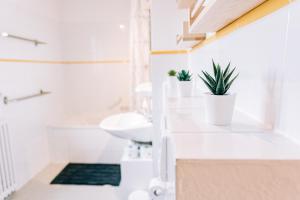 ein Badezimmer mit weißen Arbeitsflächen, einem Waschbecken und einer Pflanze in der Unterkunft City Apartment Singen in Singen