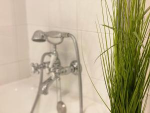 a shower with a faucet next to a green plant at Hotel El Bedel in Alcalá de Henares +23 photos