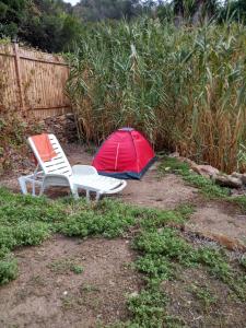 Zahrada ubytování Les Bambous, camping naturiste