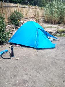 Fotografie z fotogalerie ubytování Les Bambous, camping naturiste v destinaci Ile du Levant